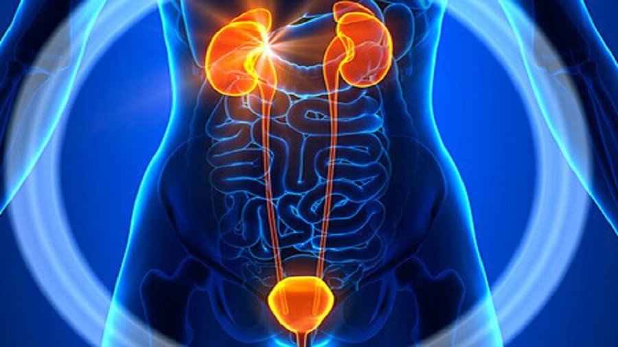 best kidney doctor in hyderabad